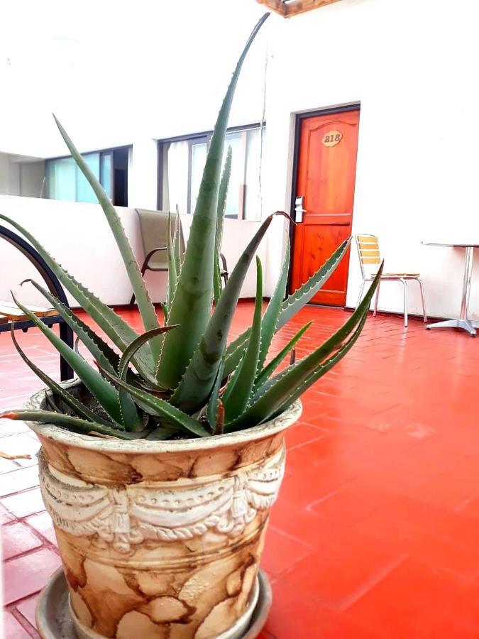 אריקה Hotel Las Palmas מראה חיצוני תמונה